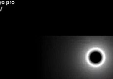 CHICA NOVATA TRAGANDOSE DOS POLLAS - HARDNIKOLE MICKEY MAMBO PAYO PRO