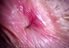 Teen Loses Virginity in Anal Fuck