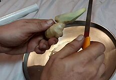 Applying Ginger To Submissive's Anus For First Time Figging Training