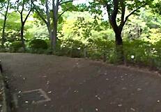 Gorgeous Yui Hatano's Pussy Creampied