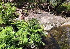 Hunt for young 18+ mom she was taken by surprise