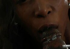 Stacey Cash intensely slobbers on Lex Steele's massive dick