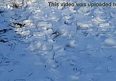 I riskily jerk off in a public park around people