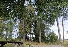 hey chris, you're looking great outdoors in that homemade solo adventure! 🌳🏞️