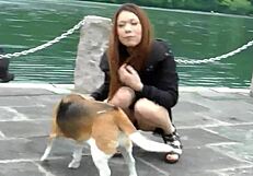 Japanese Chick Kai Miharu Orgasms From Intense Dicking