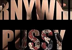 She rides that big cock hard, begging for more