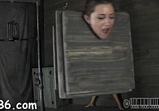 Sadomasochism Stories Of Femdom And Hardcore Fucking