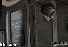 Sadomasochism Stories Of Femdom And Hardcore Fucking