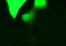 Wife Sucks Stranger's Fat Cock.