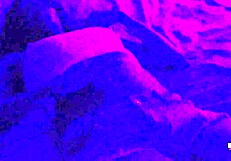 i love brandi's belly button in this compilation