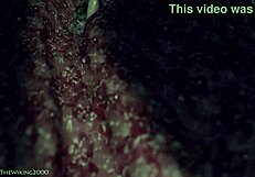 Vore a matter of perspective thewiking2000.