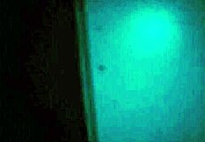 sundaydogood614 - update 840 - vid 20250317 075102 - mar 17 2025