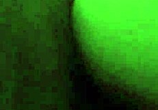 Teen Receives A Deep Creampie From Her Partner