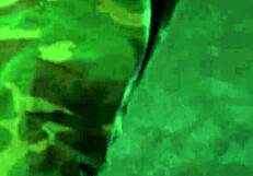 erotic loop remix by mr matusalem on xvideos