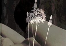 Dark Lantern Entertainment Presents Two Centuries Of Vintage Porn!