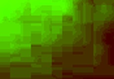 Tbt, I let him fuck me till he cums on my pussy