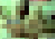 i love making her worship my feet