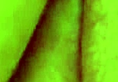 Rubbing Perfect Wet Pussy in Leggings