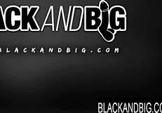 Bombshell Cindy Dollar Destroys His Cock for a Creampie in Black and Big