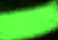 my pregnant wife goes through some changes during her pregnancy