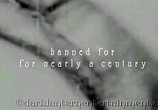 Victorian Gentleman's Erotic Confessions