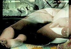 Victorian Gentleman's Erotic Confessions