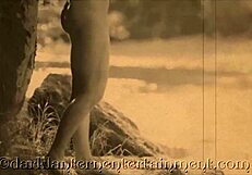 Victorian Gentleman's Erotic Confessions