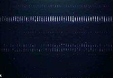 Mandy Waters Falls In Love With Raw Sex?