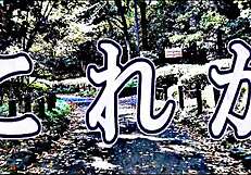 Praying Run: A Musical Experience