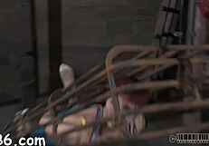 four beauties inside petite 18+ cage