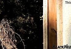 housewife says, 'fuck me doggystyle, black gangster'