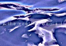 Praying Run: A Musical Experience