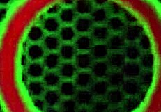 Katy's Blonde Pawg Ass Gaped And Filled With Cum