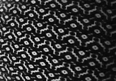 Gretala's Fetish: Emotional Love For Feet, Breasts, And Ass