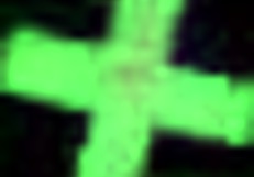 This Latina Knows How to Move and Suck Cock