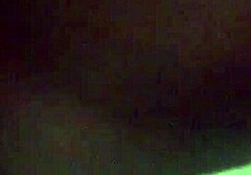 Pussy play starring sparksxxx