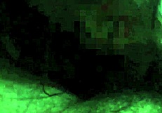 Pinay girlfriend swallows cum after riding