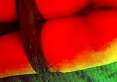 Cogida anal manoseada y dedeada in hotel room