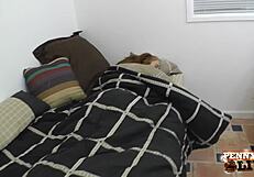 Penny Pax Receives Alex Legend's Huge Warm Load of Sperm on Her Tits