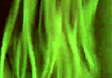 Hot deep throat pov blowjob and swallow