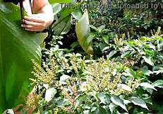 Linda jovencita de una comuna te enseña sus costumbres