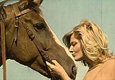 dark lantern entertainment presents beauty and the beast in vintage style