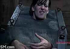 Bdsm Electro Castigation