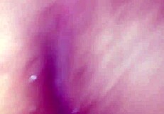 Novinha 19 Do Mercado Supermarket