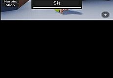 Verification Video Of Sex