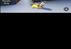 Verification Video Of Sex