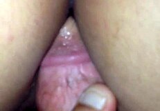 Novinha 19 Do Mercado Supermarket