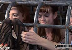 Sadomasochism Bondage Tube!
