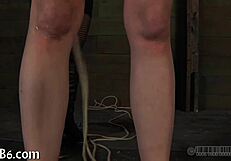 lusty facial punishment for beauty