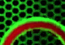 Siri performs deep throat blowjob on dildo